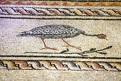 Gaziantep. Museu dels Mosaics de Zeugma. Mosaic d'Antíope i el Sàtir (s. III dC.) Detall dels ocells de l'orla.
