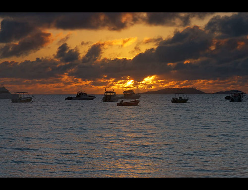 africa nikon sigma seychelles 1770 praslin d40 sigma1770 ansevolbert nikond40 1770mmf284dcmacrooshsm