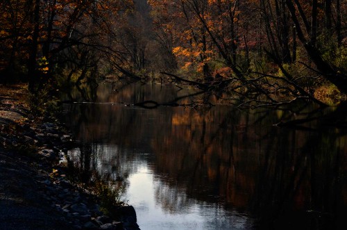 autumn trees orange creek dark dead stream shadows path explore wv fallen explored mystyerious