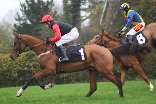 Aikideau leads | by Arkle1