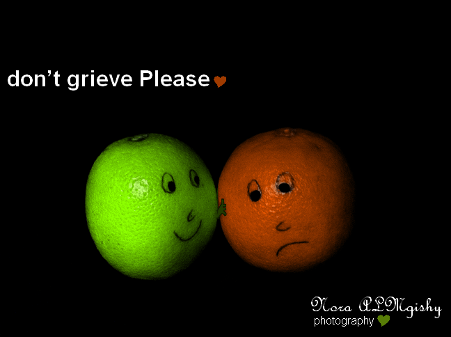 don’t grieve Please