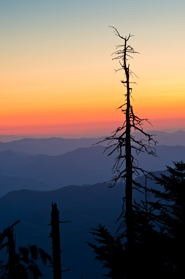 Day's End - Clingman's Dome, Great Smoky Mountains