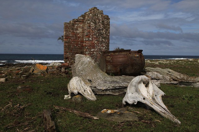 Abandoned Missionaries and Whalers Legacy Chatham Islands New Zealand