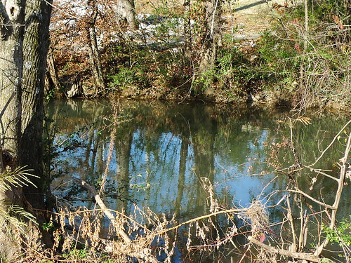 creek greenway wolftever