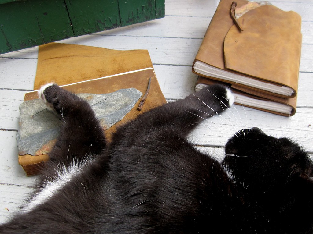 Slate Reflection Journal with Antique Nail, and my cat