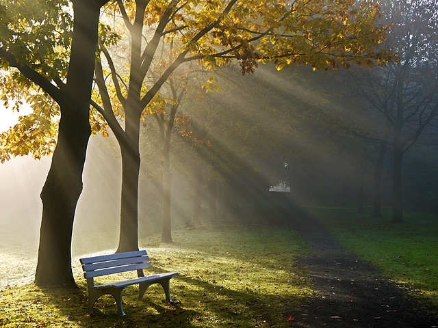 The lonesome bench