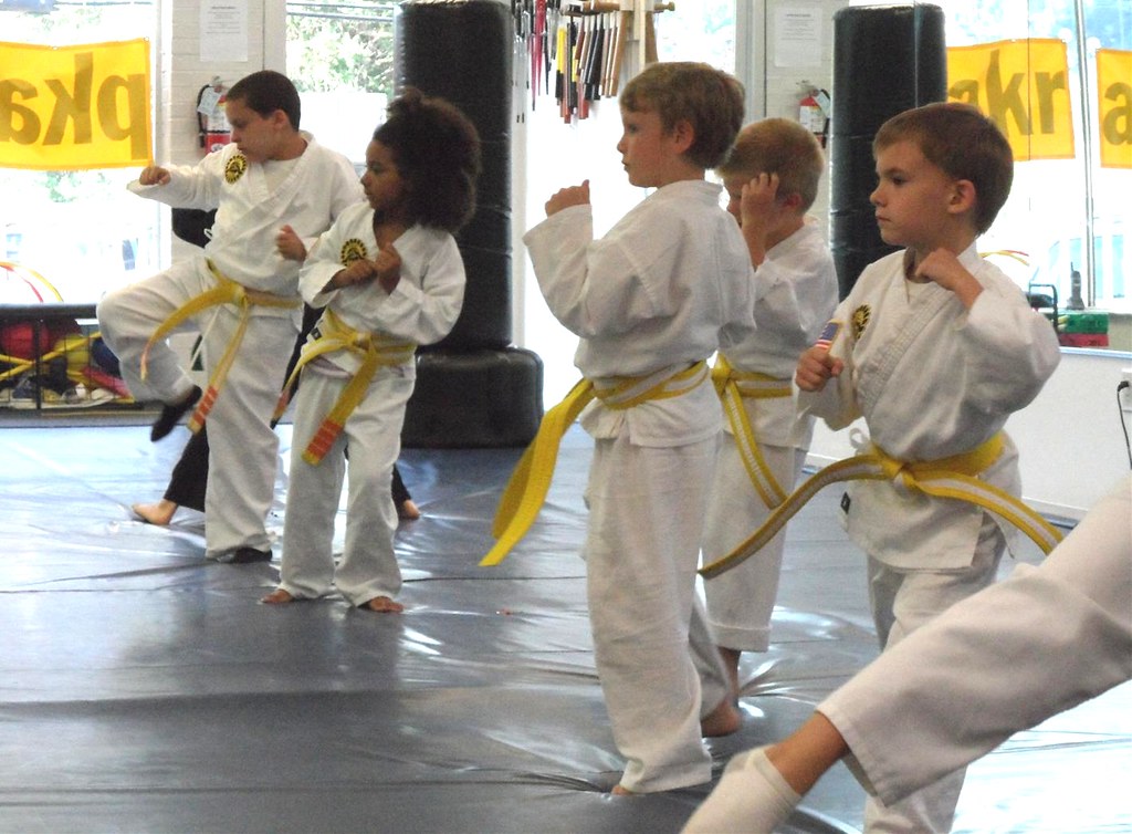 kids martial arts pittsburgh - Image of martial arts, A photo of a martial arts tournament or compet