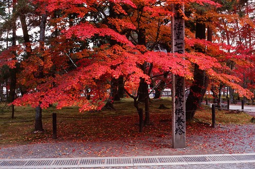 法堂紅楓 | Wunkai | Flickr