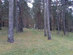 View through the trees at Paneriai