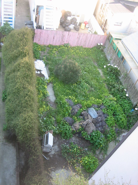 View of neighbors garden