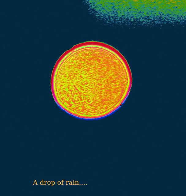 a drop of rain bridget scism