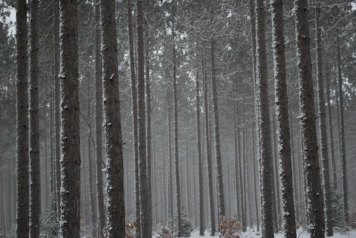 Tyler's Camera 061 (13) | by Tyler Knorr