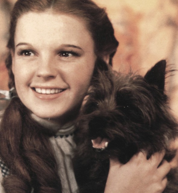 Dorothy & Toto (The Original)