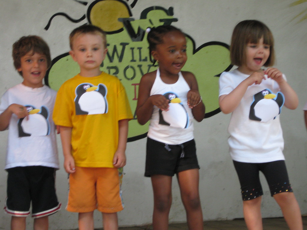 Week 6: Willows at Willow Grove Day Camp