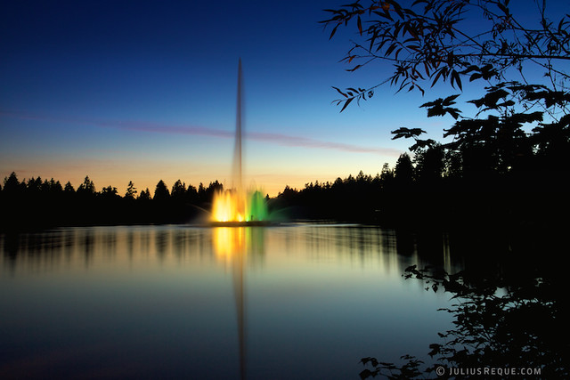 Tonight in Vancouver: Lemon/Lime | Lost Lagoon, Stanley Park