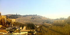 Davidson Center & Mount of Olives
