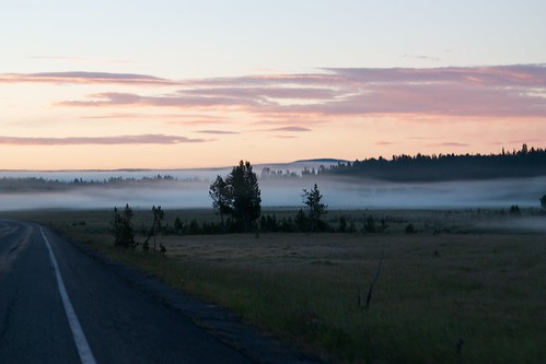 fog sunrise landscape yellowstonenationalpark