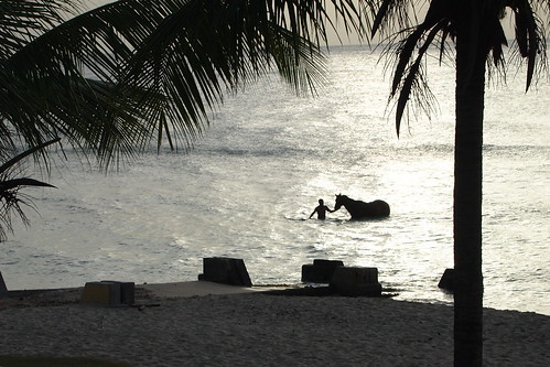 sunset beach stcroix canebay caribbean virginislands usvirginislands uncommoncaribbean