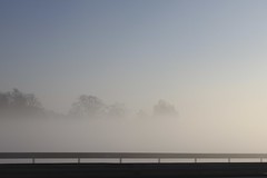 Highway mist in Belgium - Version 2