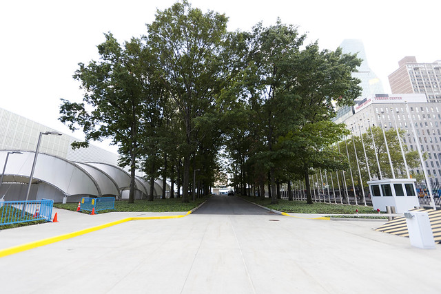 United Nations Tree Tunnel
