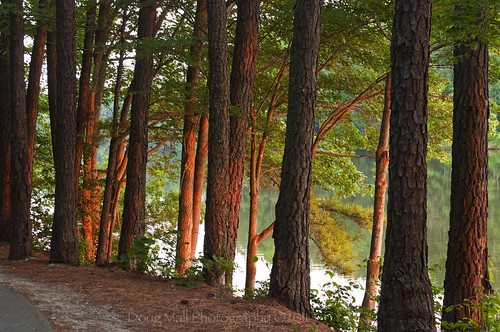 trees sunset lake landscape apex nikond5000 dougmall