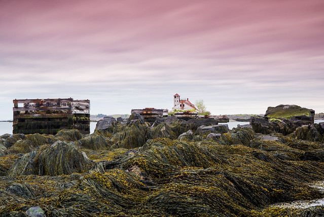Seaweed Island