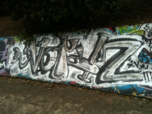 Voidz | by sydney graff