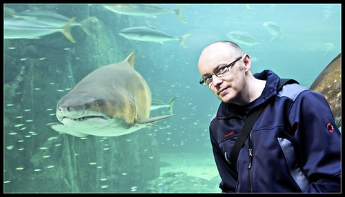 Two Oceans Aquarium