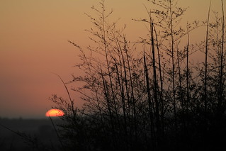 Arcata Sunset