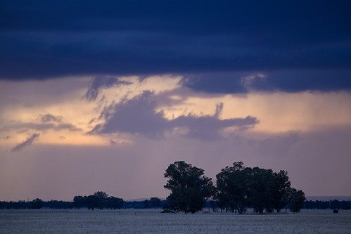 sunset sun storm west tree nature rain weather clouds landscape evening countryside day afternoon shine natural country formation nsw western newsouthwales unsettled