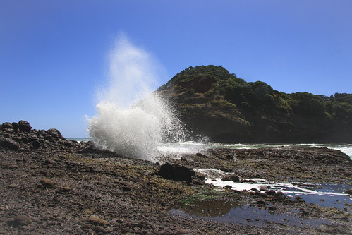 newzealand outcrop black beach rock landscape sand auckland blowhole nz spout explode bethells waterscape exploding bethellsbeach lisaridings fantommst