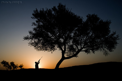 Silhouette The Hunter - My Friend Abdulaziz by TARIQ-M