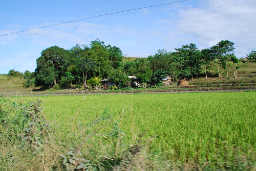 Bushman In The Philippines: Santo Nino, Part 1 by MJ Klein | TheNHBushman.com, <a href="http://www.thenhbushman.com/2011/08/29/bushman-in-the-philippines-santo-nino-part-1/" rel="