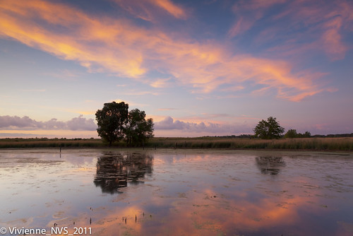 sunset illinois pond marsh savannah prairie preserves lakecounty rollinssavannahforestpreserve