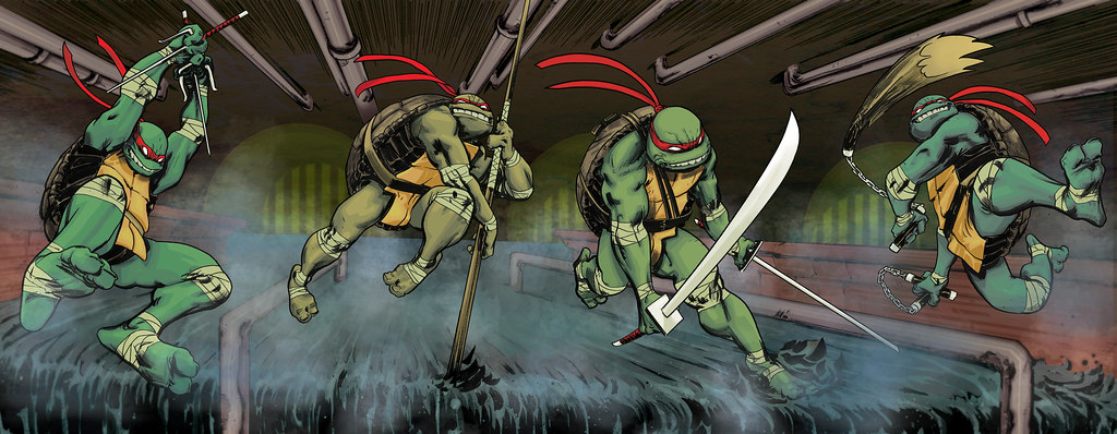 IDW :: Teenage Mutant Ninja Turtles V.5  #1 // Gatefold covers together, sans text (( 2011 )) [[ Art & Courtesy of Dan Duncan ]] by tOkKa