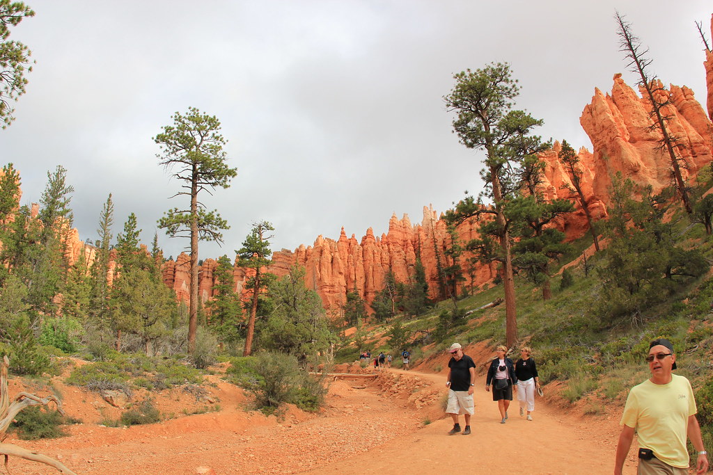 Below the Bryce Canyon