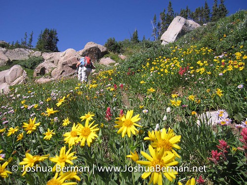 Devils_Thumb | by Joshua Berman