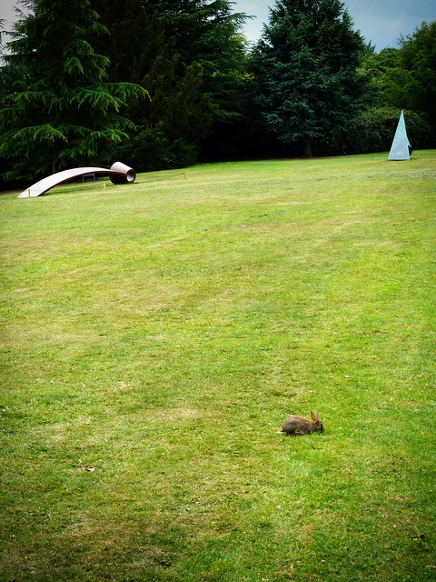 Rabbit In The Gardens, Yorkshire Sculpture Park