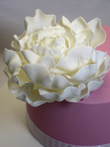 Sugar Peony | This is the first Peony I've made since my Pet… | Flickr