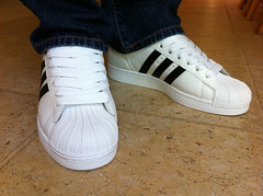 shell toe adidas with fat laces
