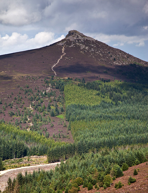 Mither Tap from Millstone Hill