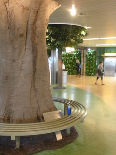 Schiphol's little fake forest | by Jason Riedy