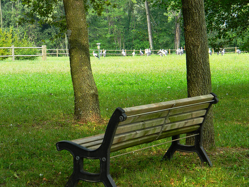 DSCN2628 bench with stork view by pinktigger, The Oasi of Quadris is situated northwest of the centre of Fagagna. Within the European network of N
