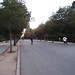 <p>Parque del Retiro - this park was filled with people exercising - running, walking, skating, biking, yoga, gymnastics, rollerblading, you name it</p>