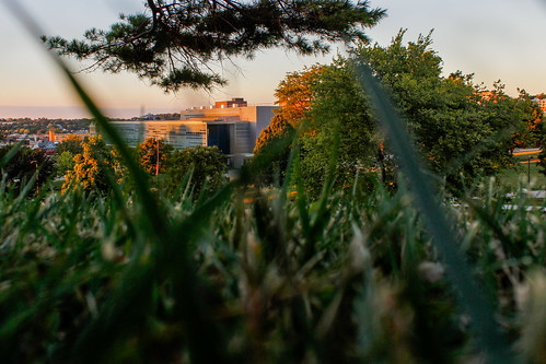 Newhouse School at Sunset