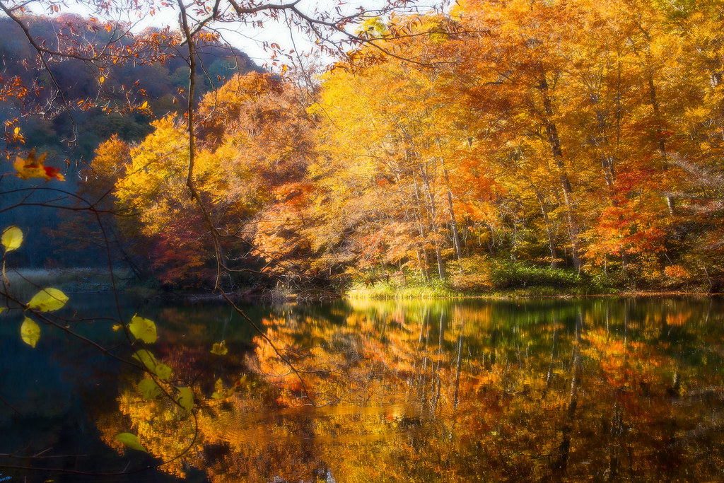 Autumn Impressionism | *Canon EOS 5D Mark III *EF50mm F1.2L … | moaan ...