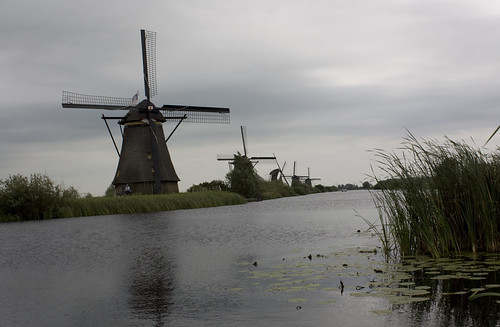 Windmills | by rosabaldo