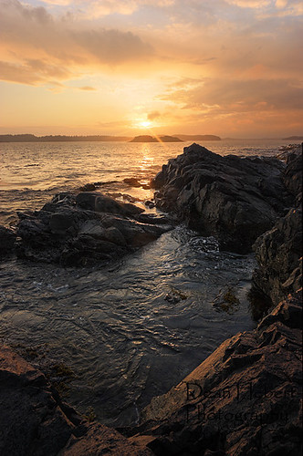 tofino sunset ocean rocks summer nature landscape seascape sea water
