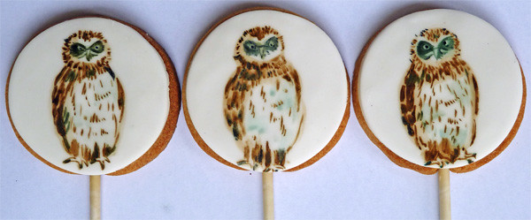 owl cookies