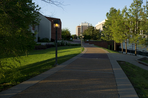 MSU campus-051L
